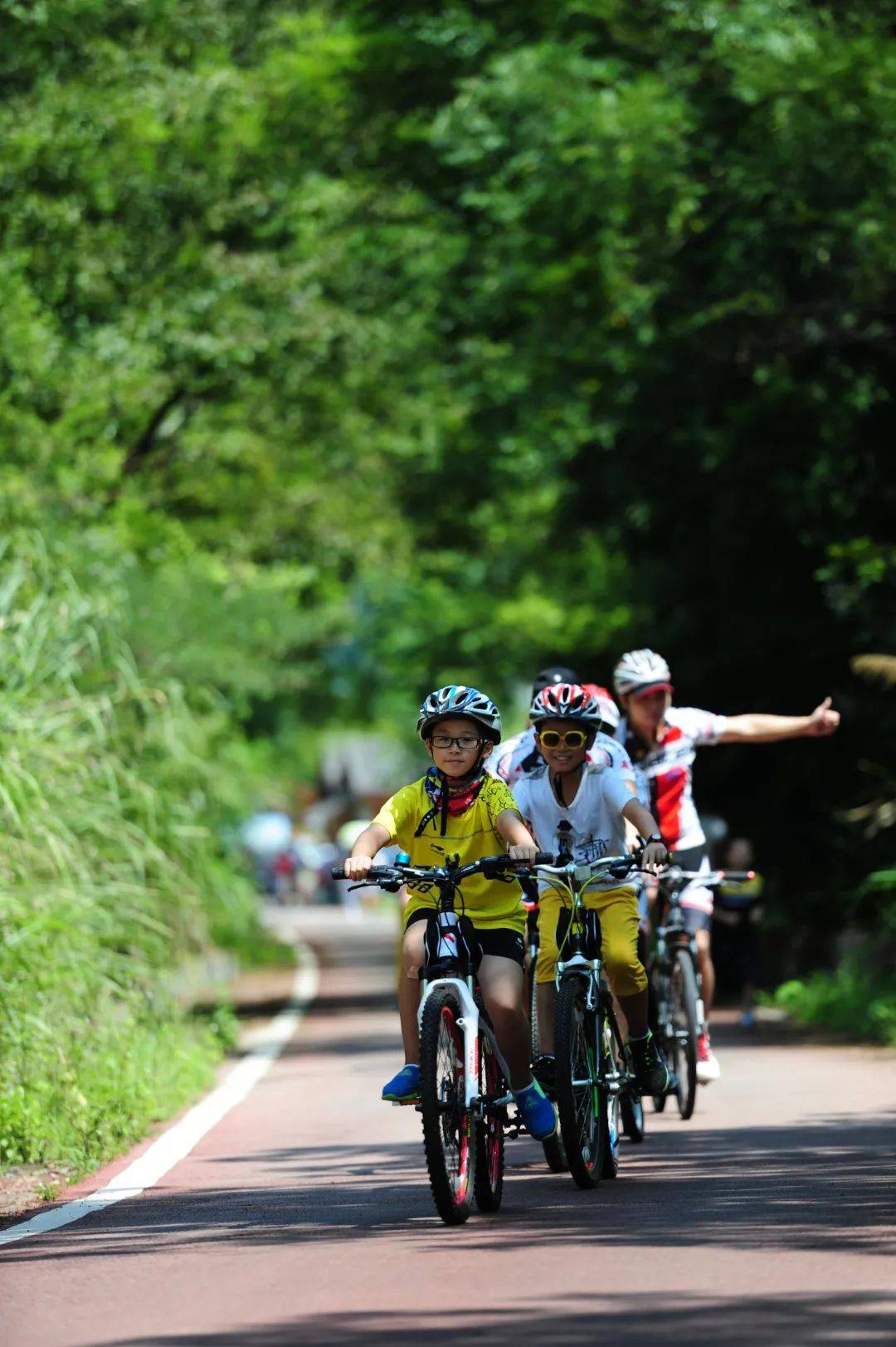 大型生态骑行挑战，绿色出行的运动倡导